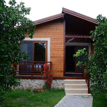 Villa Bilge Çıralı Habitación foto