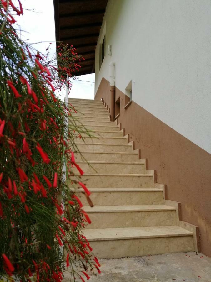 Villa Bilge Çıralı Exterior foto