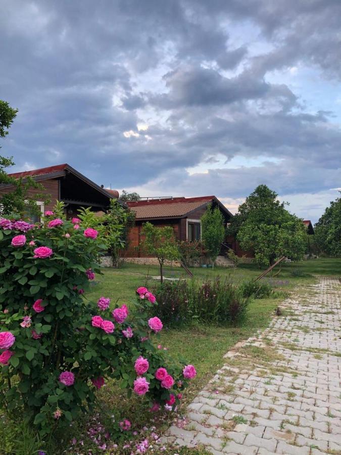 Villa Bilge Çıralı Exterior foto